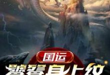 男女主人公叶枫饕餮小说国运：饕餮身上纹，镇守龙国门章节免费阅读-贝壳文学