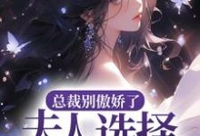 想读安予甜顾玄霆的故事，哪里可以免费找到总裁别傲娇了，夫人选择去父留子？-贝壳文学
