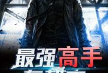 最强高手在都市小说无弹窗阅读的网站推荐-贝壳文学
