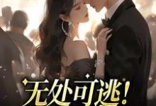 免费在线阅读无处可逃!他的强制爱小说的正规网站有哪些?-贝壳文学