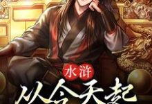 水浒:从今天起,梁山我做主小说的免费电子版在哪里可以下载或阅读?-贝壳文学