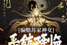 骗婚苏家神女,系统降临上古神瞳(南宫辰)在线免费阅读-贝壳文学