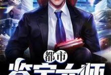 都市鉴宝大师免费阅读,都市鉴宝大师章节在线阅读-贝壳文学