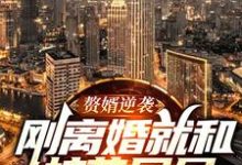 《赘婿逆袭：刚离婚就和校花同居》全集免费在线阅读（叶秋白）-贝壳文学