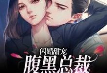 已完结小说《闪婚甜宠:腹黑总裁对我蓄谋已久》在线章节阅读-贝壳文学