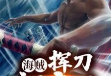 完结版《海贼：挥刀就变强》章节目录在线阅读-贝壳文学