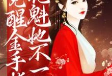 觉醒金手指,花魁她不一般免费阅读,觉醒金手指,花魁她不一般章节在线阅读-贝壳文学