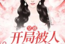 虞珂的完整故事在哪里？读穿越，开局被人泼硫酸小说-贝壳文学
