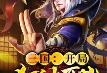 免费阅读刘凯刘辩为主角的小说,三国:开局杀了大耳贼在线看-贝壳文学