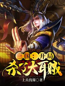 免费阅读刘凯刘辩为主角的小说，三国：开局杀了大耳贼在线看