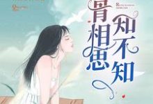 小说《入骨相思知不知》章节阅读-贝壳文学