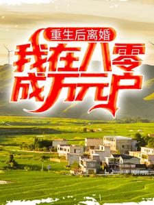 小说《重生后离婚，我在八零成万元户》章节阅读