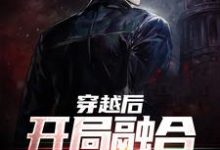 穿越后,开局融合伏黑甚尔小说有没有完整的免费版本在线阅读?-贝壳文学