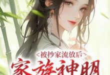 被抄家流放后，家族神明来救场！免费阅读，被抄家流放后，家族神明来救场！许棠贺之舟-贝壳文学