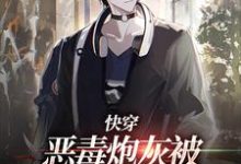 《快穿：恶毒炮灰被疯批们强制爱了》小说大结局免费试读 时安小说-贝壳文学