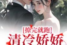 小说《撩完就跑，清冷娇娇不想负责》在线章节阅读-贝壳文学