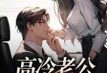 高冷老公是卑微忠犬辛甜秦汉白,高冷老公是卑微忠犬小说免费阅读-贝壳文学