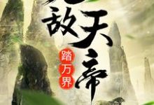 无敌天帝踏万界小说完结版章节免费阅读-贝壳文学