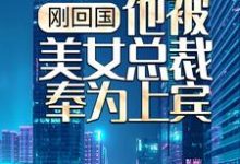 刚回国,他被美女总裁奉为上宾小说最新更新在哪里?免费在线看-贝壳文学