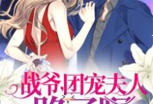 主人公叫苏清风战墨野战玥秦雪琪的小说哪里免费看-贝壳文学