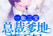 一胎三宝，总裁爹地惹不起莫小菲李衍禹妖孽，一胎三宝，总裁爹地惹不起在线无弹窗阅读-贝壳文学