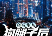 穿成炮灰狗腿子后我暴富了这本小说怎么样？免费在线阅读试试-贝壳文学