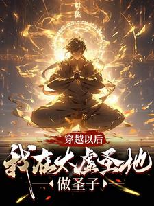 求穿越以后，我在太虚圣地做圣子小说的全文免费阅读链接
