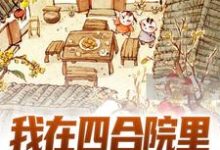 完结版《我在四合院里斗智斗勇》章节阅读-贝壳文学