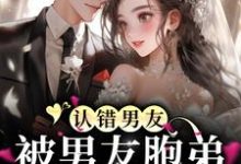 小说《认错男友，被男友胞弟赖上怎么办？》在线章节阅读-贝壳文学