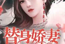 段语棠穆铮是哪本书的主角?替身娇妻不好惹免费读-贝壳文学