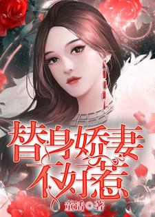 段语棠穆铮是哪本书的主角？替身娇妻不好惹免费读