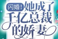 寻找闪婚！她成了千亿总裁的娇妻小说的最新更新章节-贝壳文学