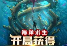 海洋求生:开局获得提示外挂这本小说在哪里可以看?哪里有免费试读章节?-贝壳文学