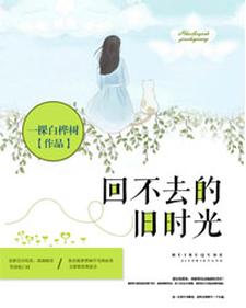 回不去的旧时光林小念顾北城白雅小说大结局免费试读
