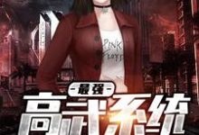 《最强高武系统》小说主角苏晨苗若兰梅芳章节章节免费在线阅读-贝壳文学