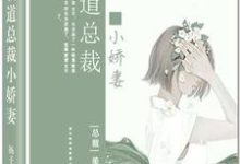 霸道总裁小娇妻陈若希周安良,霸道总裁小娇妻章节在线阅读-贝壳文学