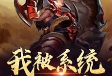 求我被系统砸中了小说的全文免费阅读链接-贝壳文学
