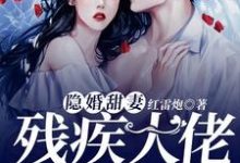 隐婚甜妻,残疾大佬的心尖宠免费阅读,隐婚甜妻,残疾大佬的心尖宠章节目录-贝壳文学