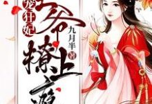 免费看霸宠狂妃：王爷撩上瘾！小说的网站有哪些？-贝壳文学