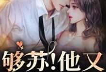 已完结小说《够苏！他又欲又野》在线章节阅读-贝壳文学