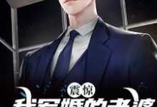 已完结小说《震惊！我军婚的老婆成富婆了》章节免费阅读-贝壳文学