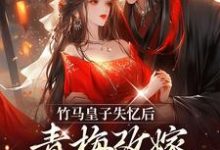 竹马皇子失忆后,青梅改嫁太子了(沈思凝姜逾白)在线免费阅读-贝壳文学