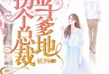 拐个总裁当爹地小说阅读,拐个总裁当爹地完结版-贝壳文学