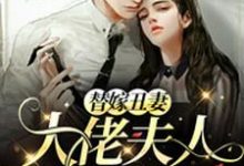 求替嫁丑妻:大佬夫人A爆了小说免费资源-贝壳文学