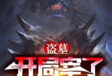 盗墓：开局宰了怒晴鸡免费阅读，盗墓：开局宰了怒晴鸡章节在线阅读-贝壳文学