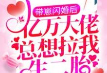 带崽闪婚后，亿万大佬总想拉我生二胎最新章节，带崽闪婚后，亿万大佬总想拉我生二胎免费阅读-贝壳文学
