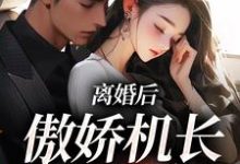 小说《离婚后,傲娇机长求复合》在线章节阅读-贝壳文学