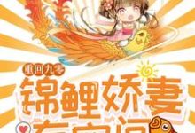 免费在线阅读重回九零：锦鲤娇妻有空间小说的正规网站有哪些？-贝壳文学