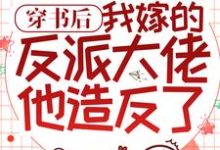穿书后,我嫁的反派大佬他造反了小说,穿书后,我嫁的反派大佬他造反了章节在线阅读-贝壳文学