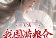 完结版《天灾！我囤满粮仓救了一帮大佬》免费阅读-贝壳文学